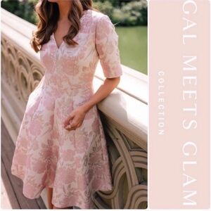 GAL MEETS GLAM Adair Dress‎ Powder Pink Spring Jacquard Floral Coquette NWT 00